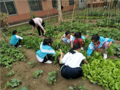 学生品尝劳动的滋味和收获为校园生活增添了艳